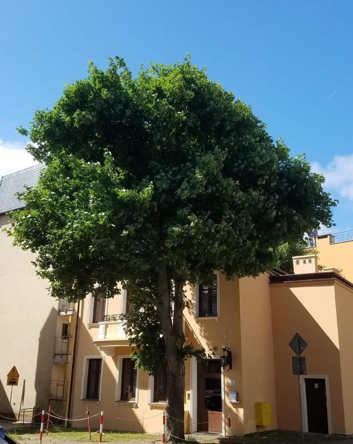 Na Cichej 5 A1 Kolobrzeg